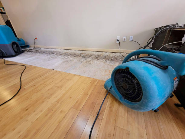 Professional Water Damage Repair technician working in Bowling Green, FL